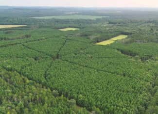 160± acre Monroe County property Located off dead end road,