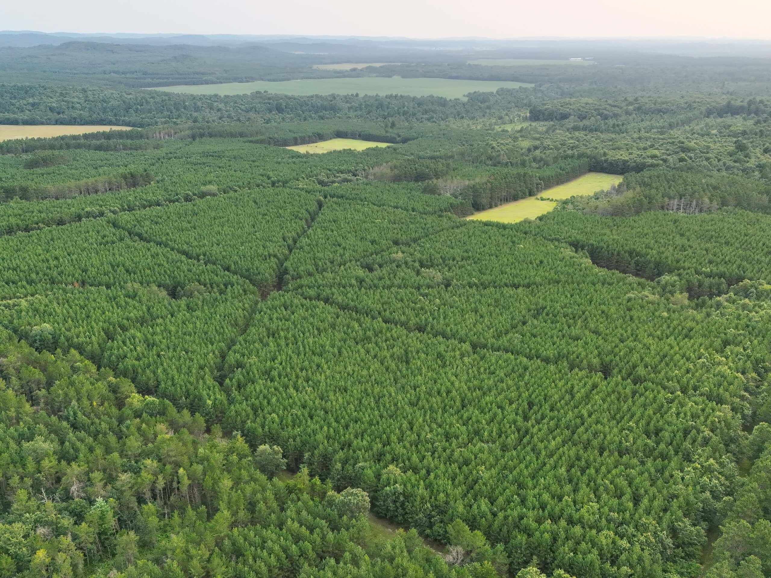 160± acre Monroe County property Located off dead end road,