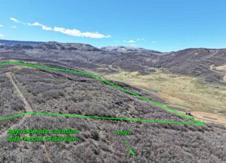 36 Acres in Harrison Creek, Collbran,  CO