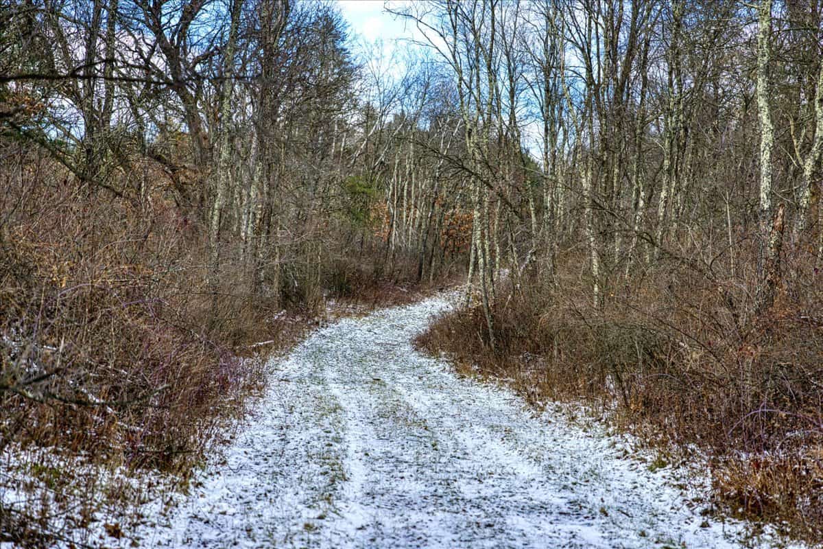 160± acre Monroe County property Located off dead end road,