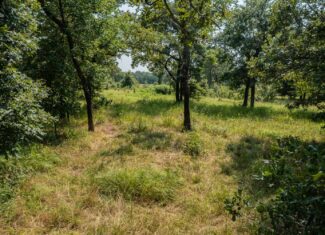 Catcher Ranch: 785 ± Acre Conservation Ranch & Trophy Whitetail Hunting Property Near Stuart, Oklahoma