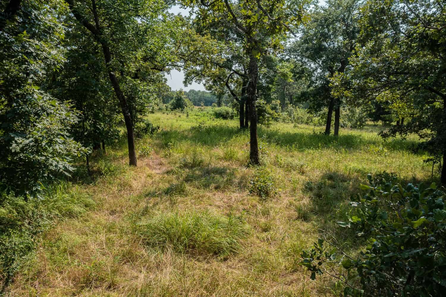 Catcher Ranch: 785 ± Acre Conservation Ranch & Trophy Whitetail Hunting Property Near Stuart, Oklahoma