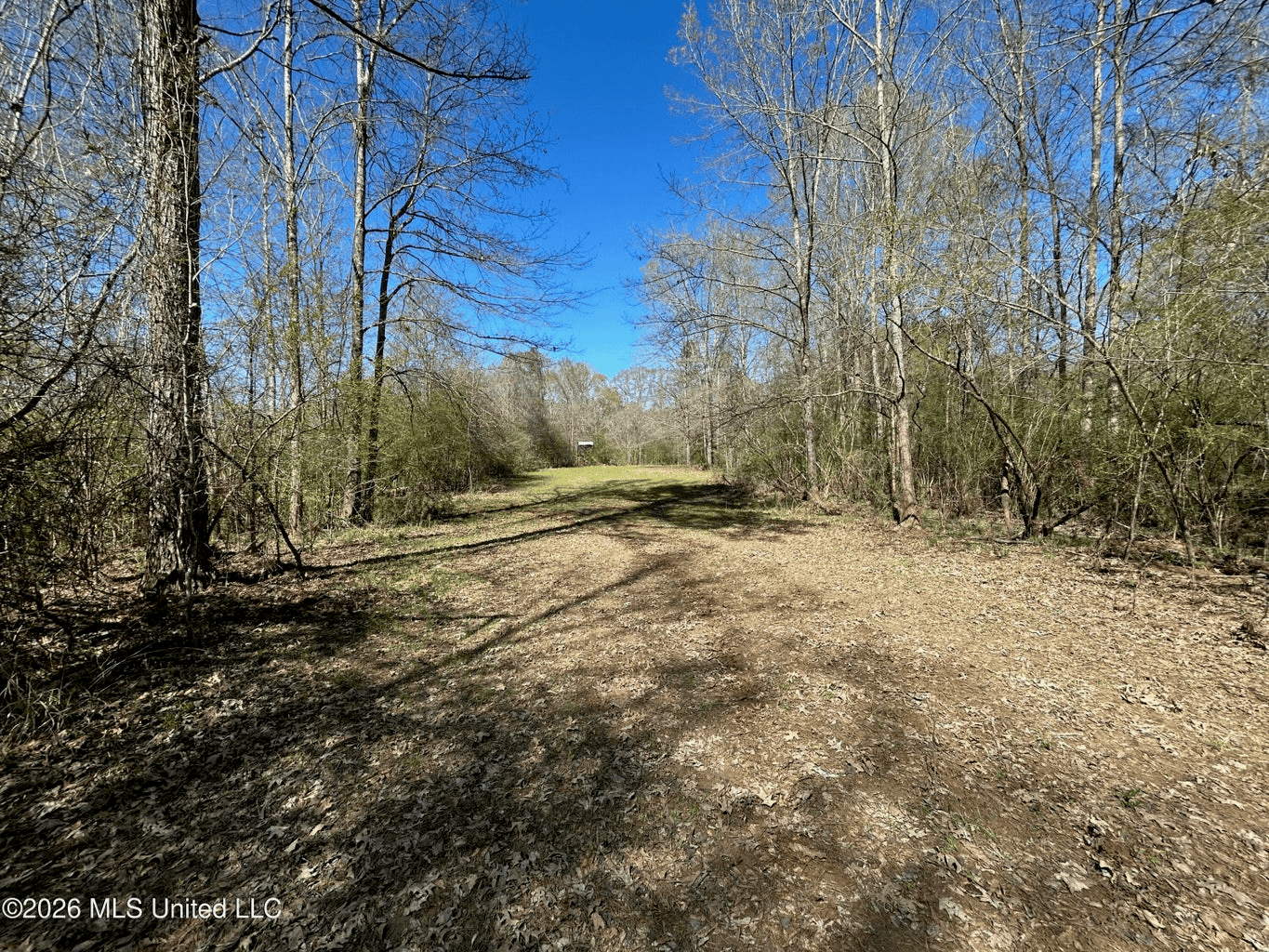 123± Acres Centreville MS on Chance Rd Amite County