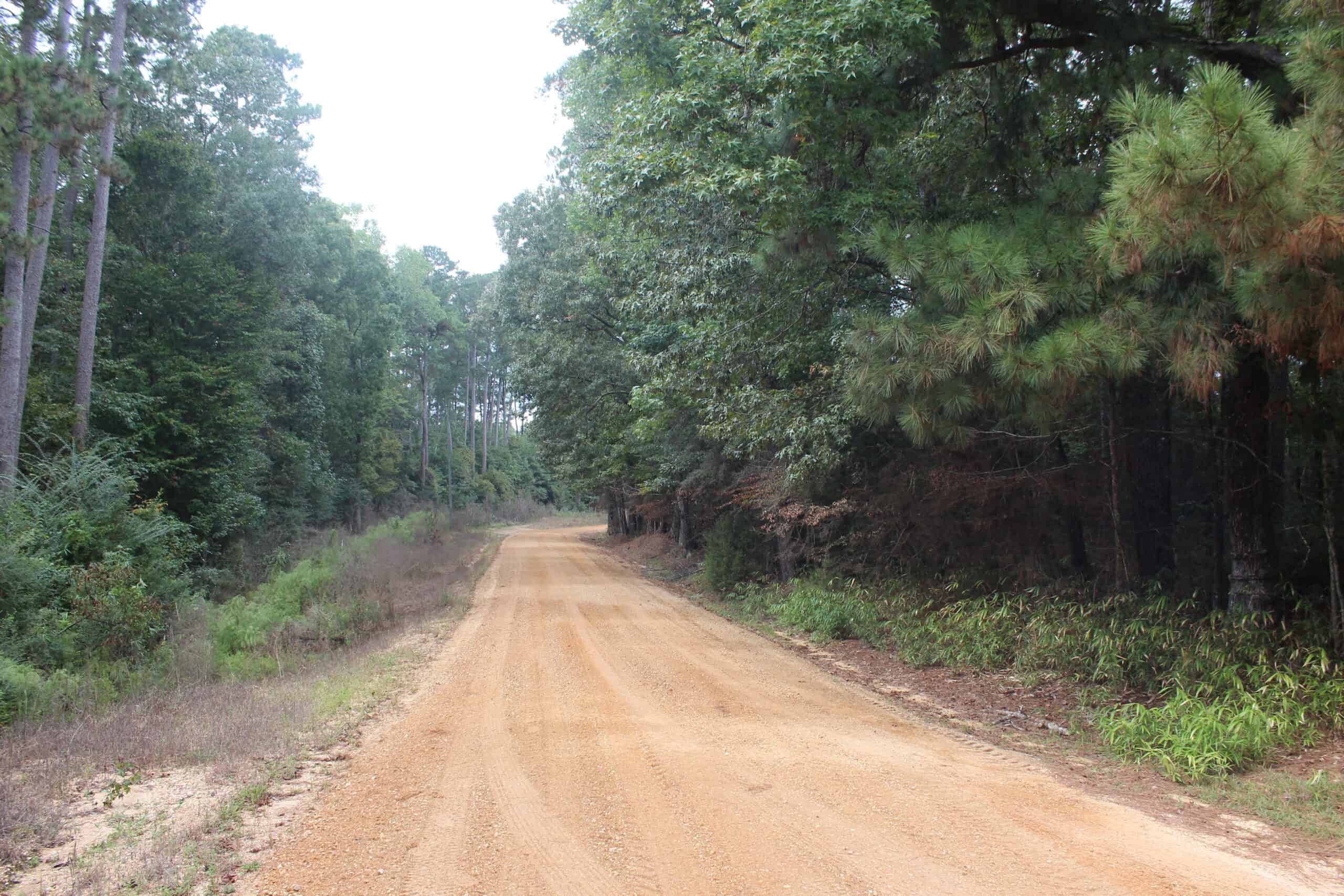 40.62 Acres of Hunting Land and Potential Home Site Amite County, Mississippi