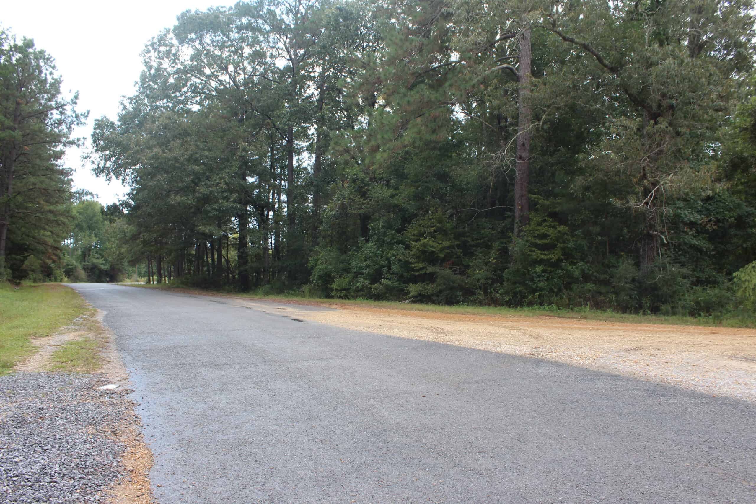 40.62 Acres of Hunting Land and Potential Home Site Amite County, Mississippi