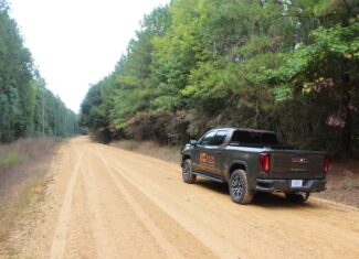 40.62 Acres of Hunting Land and Potential Home Site Amite County, Mississippi