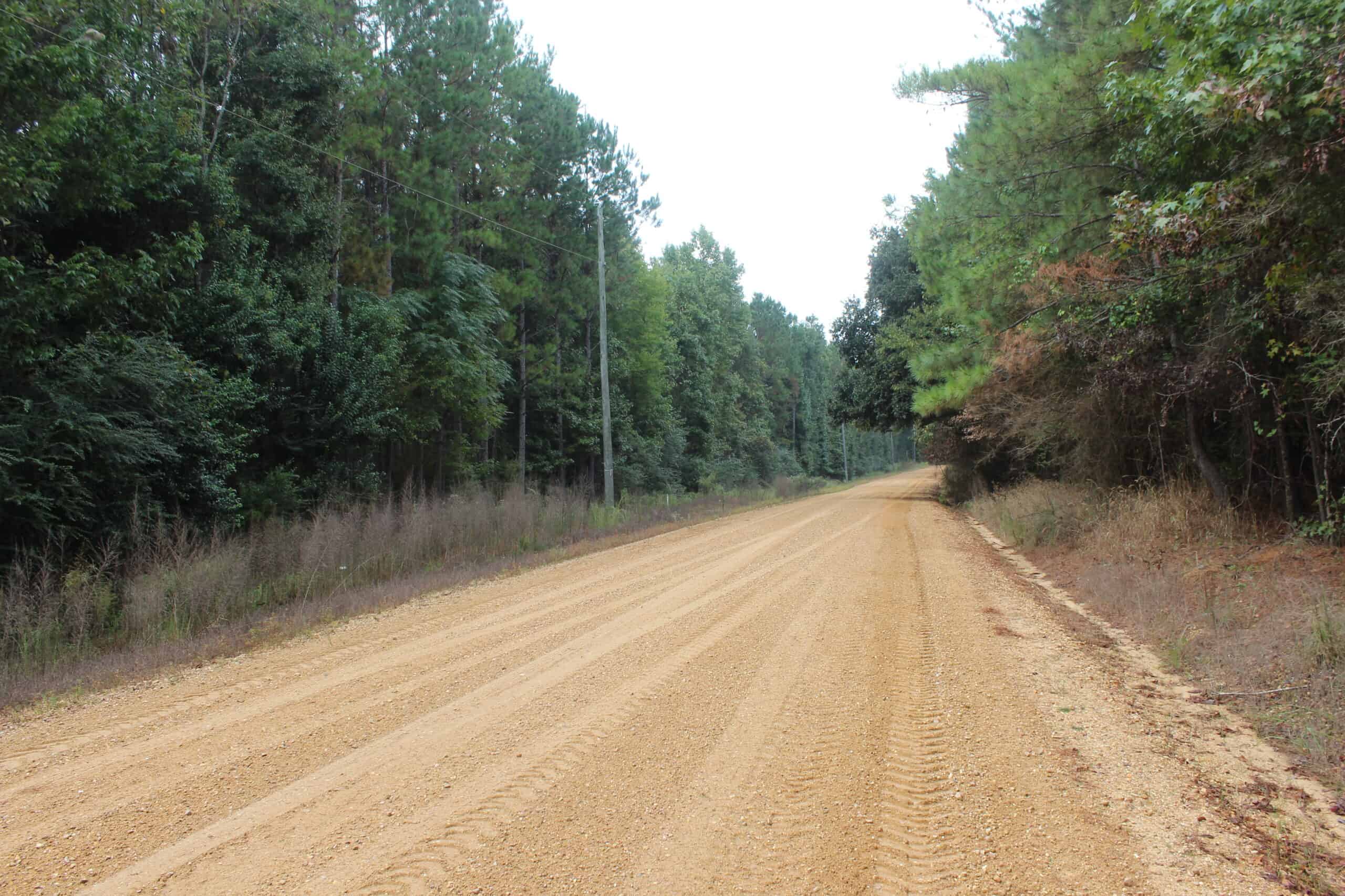 40.62 Acres of Hunting Land and Potential Home Site Amite County, Mississippi