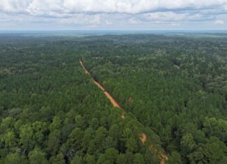 33 Acres of Hunting Land and Potential Home Site Amite County, Mississippi