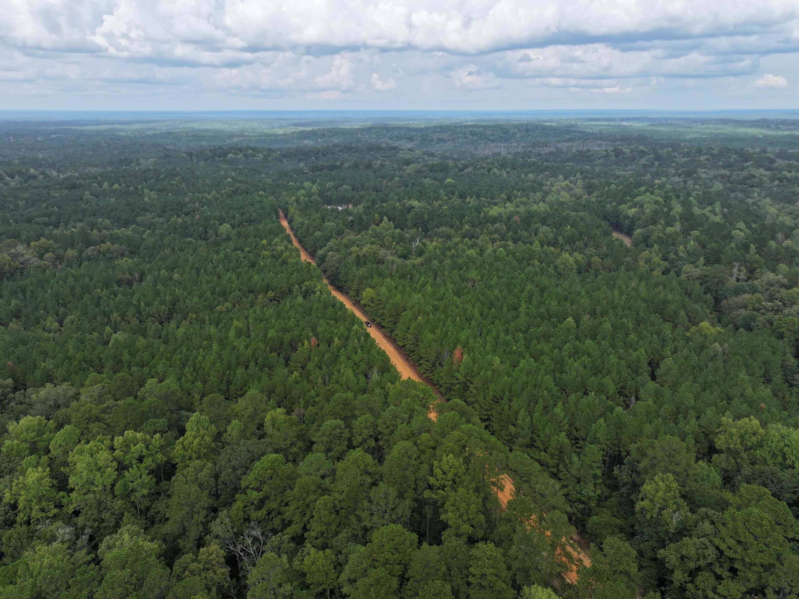 40.62 Acres of Hunting Land and Potential Home Site Amite County, Mississippi