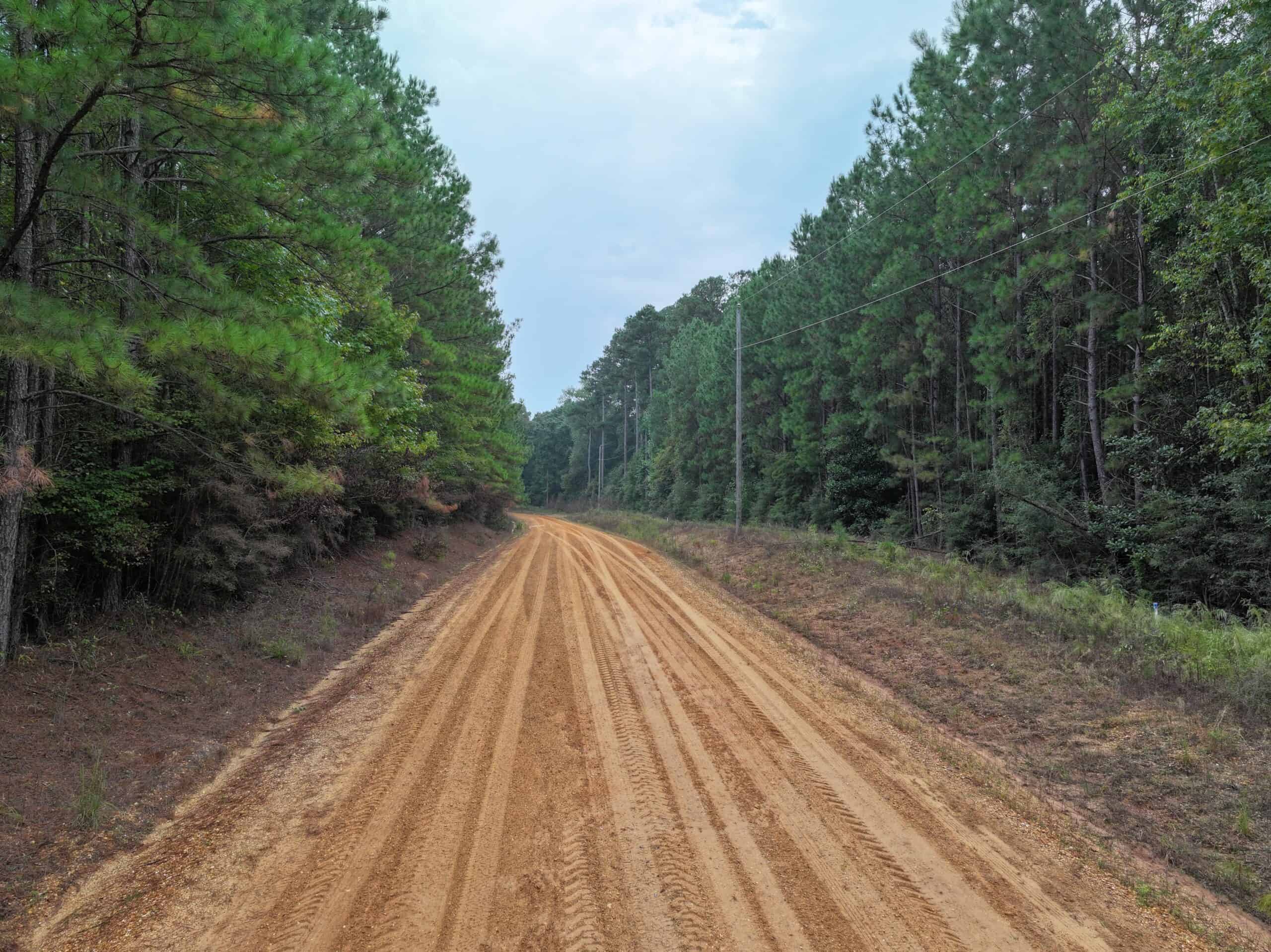 40.62 Acres of Hunting Land and Potential Home Site Amite County, Mississippi