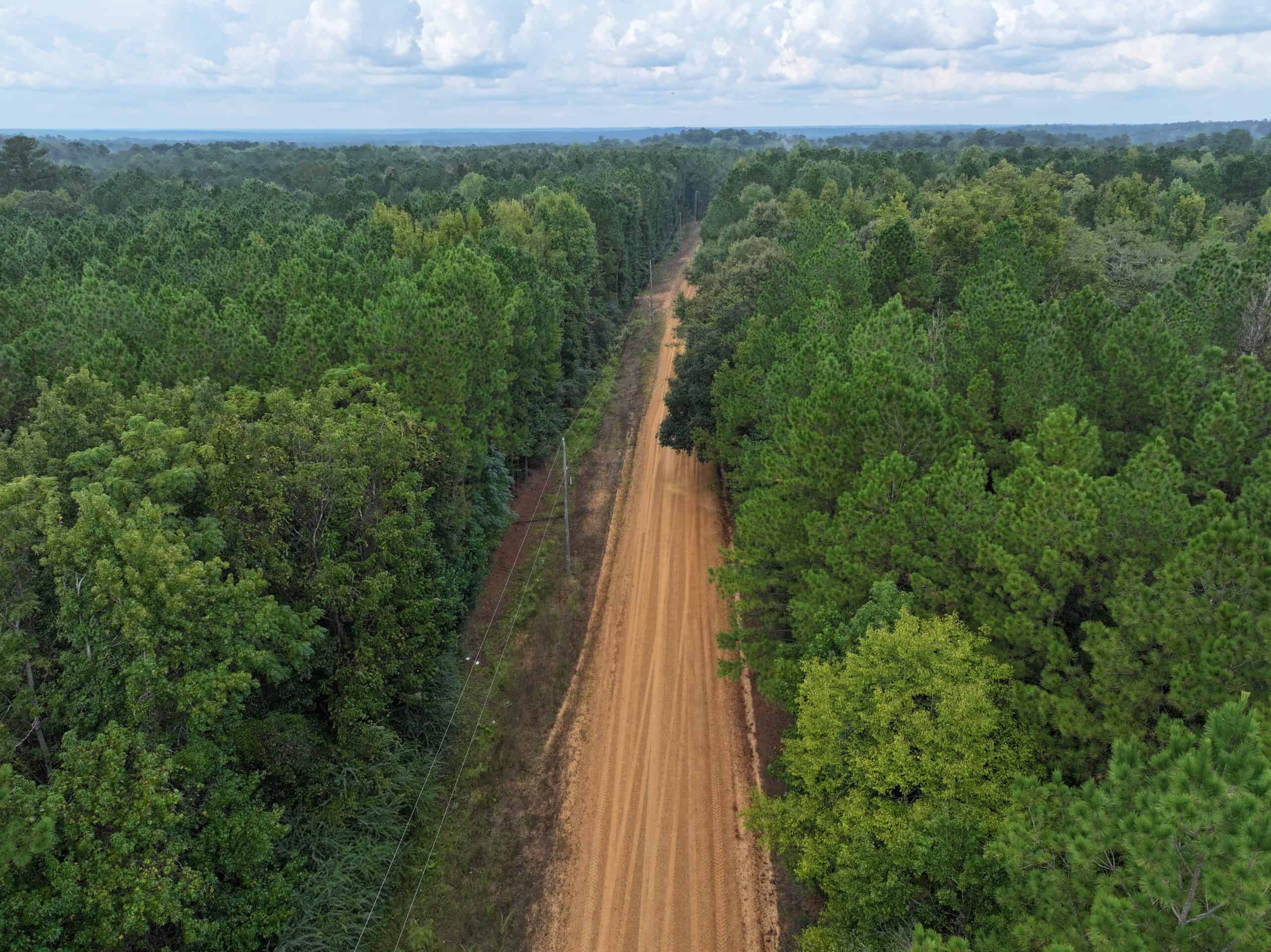 40.62 Acres of Hunting Land and Potential Home Site Amite County, Mississippi