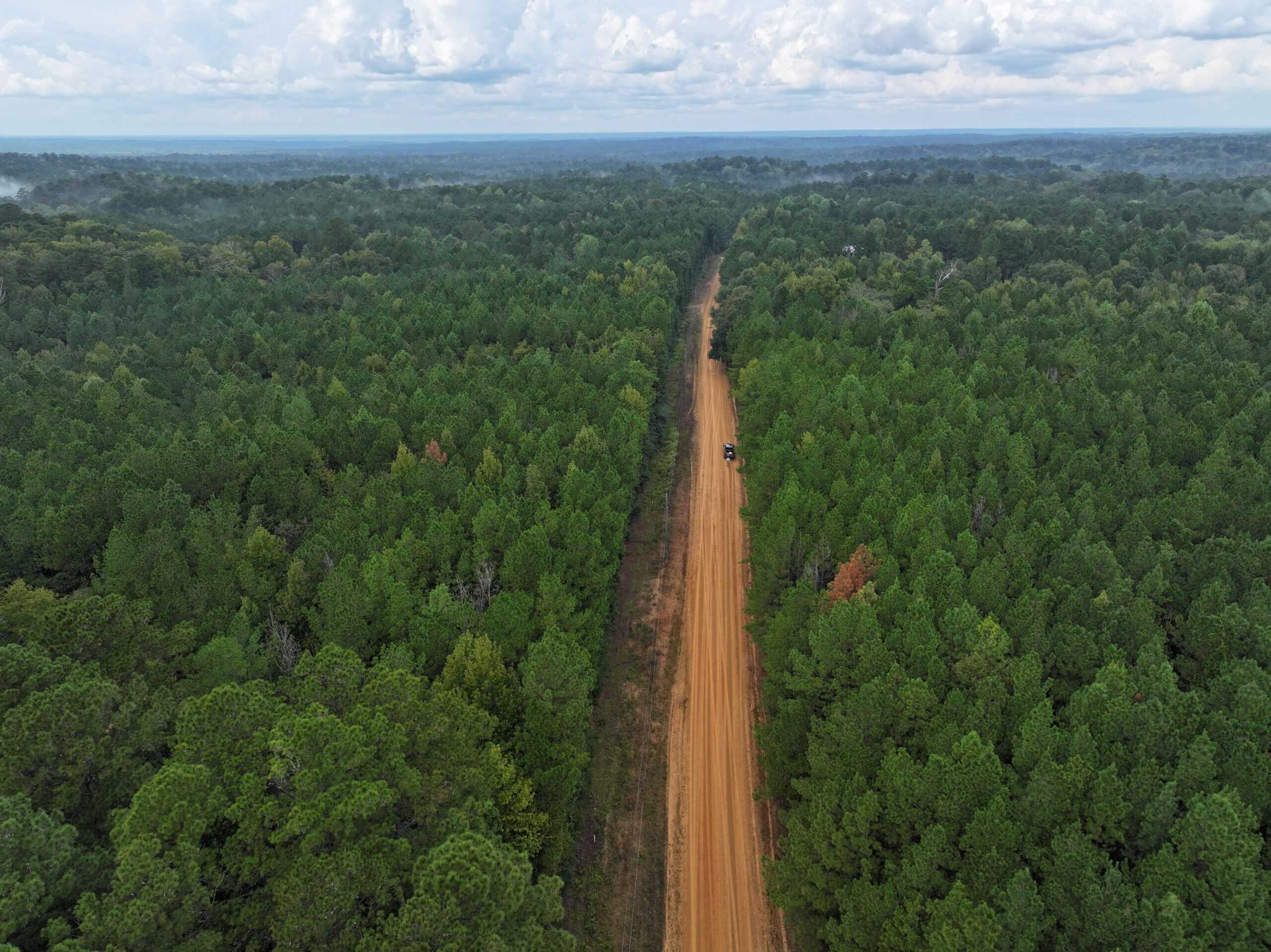 40.62 Acres of Hunting Land and Potential Home Site Amite County, Mississippi