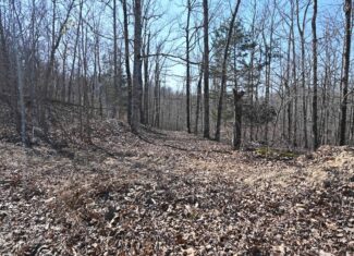 107.63 Acres For Sale in Middle Tennessee!