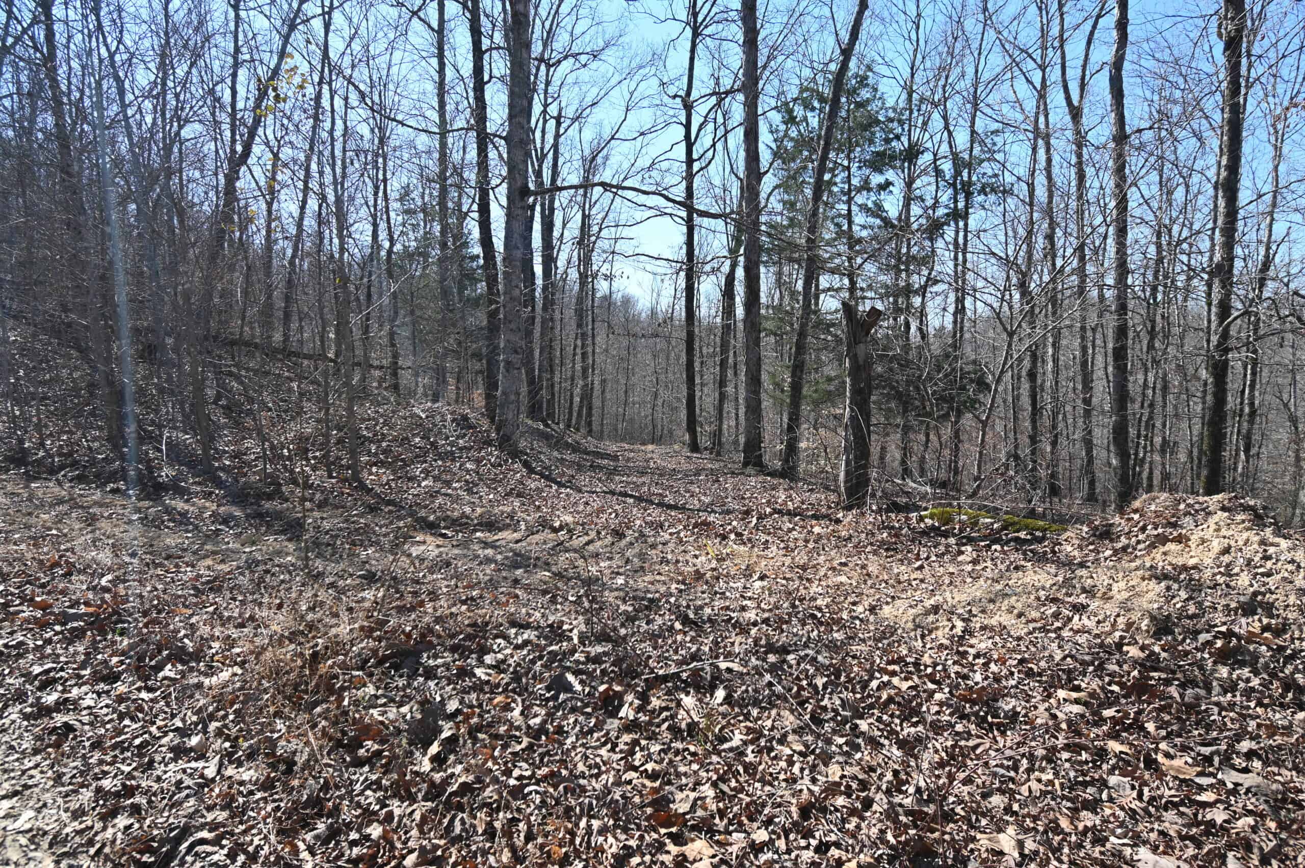 107.63 Acres For Sale in Middle Tennessee!
