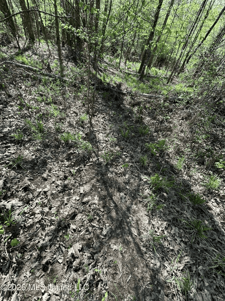 123± Acres Centreville MS on Chance Rd Amite County