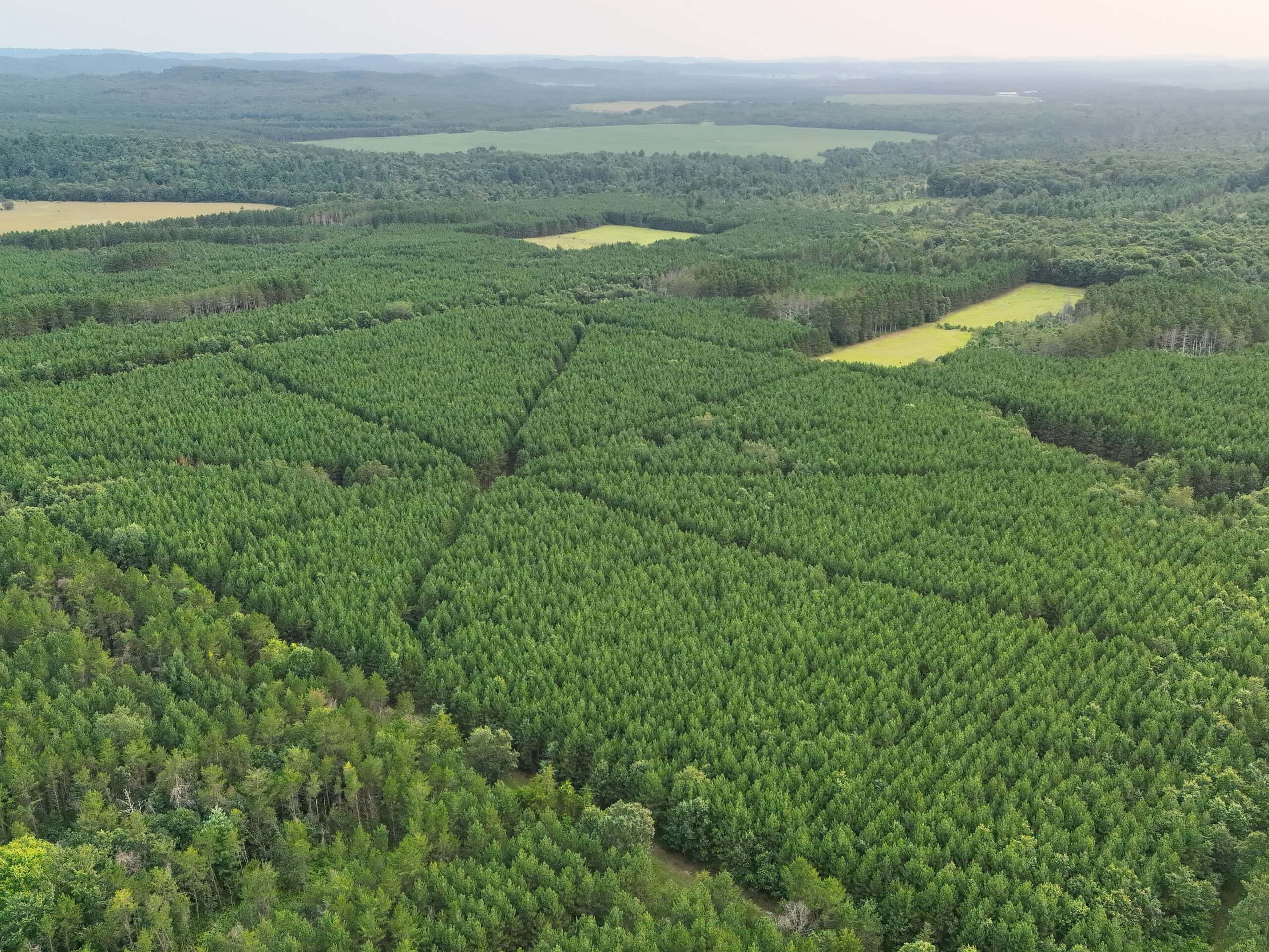 160± acre Monroe County property Located off dead end road,