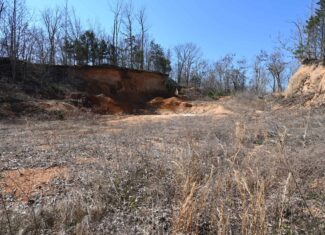 107.63 Acres For Sale in Middle Tennessee!