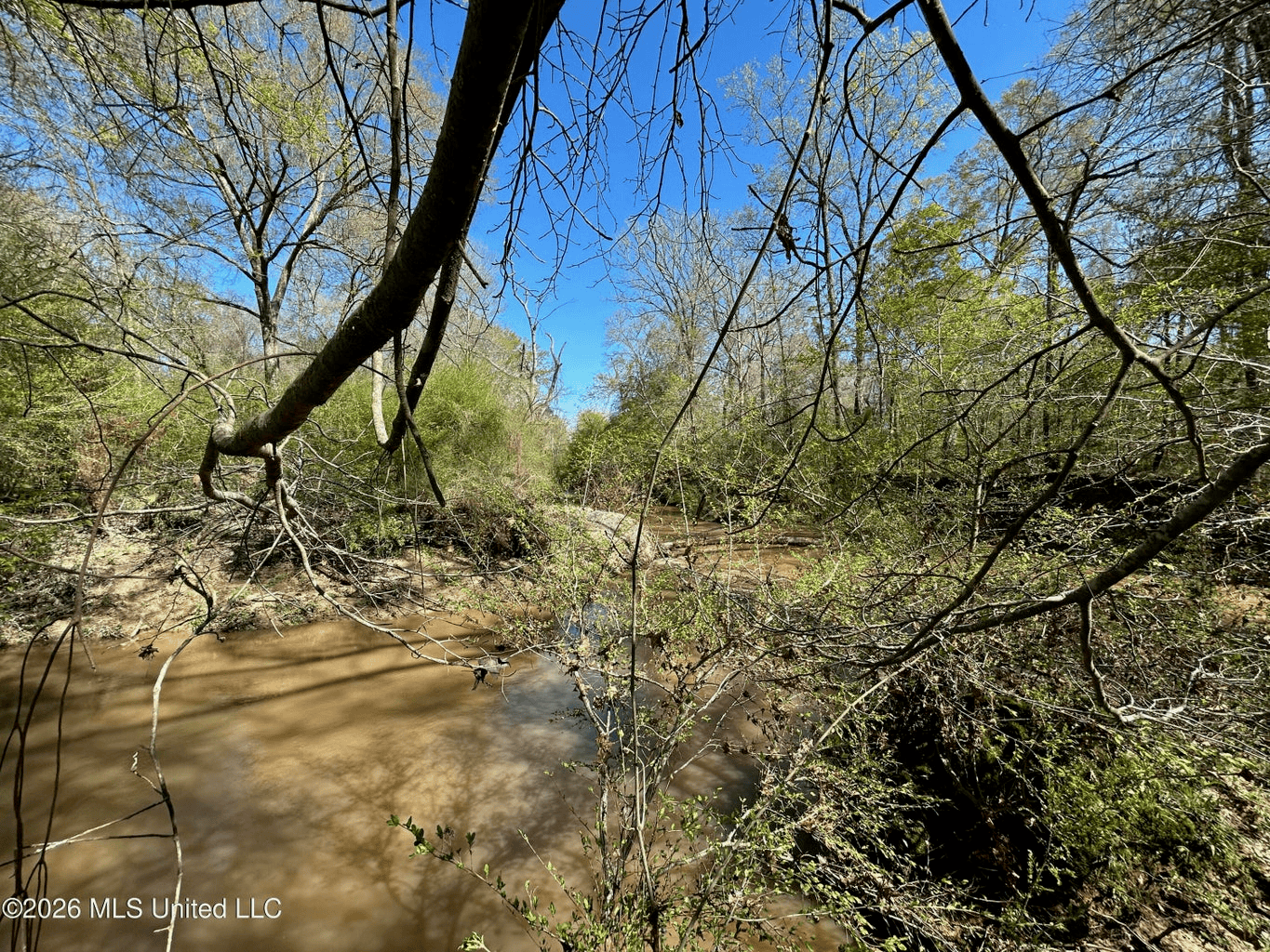 123± Acres Centreville MS on Chance Rd Amite County