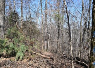 107.63 Acres For Sale in Middle Tennessee!