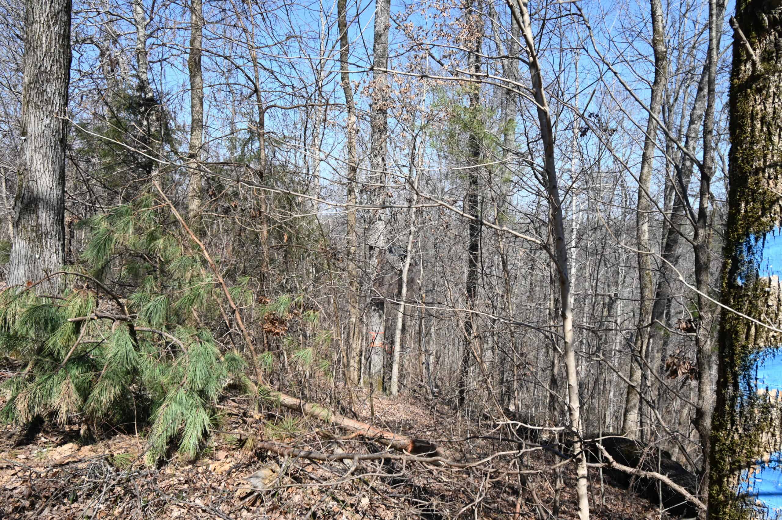 107.63 Acres For Sale in Middle Tennessee!