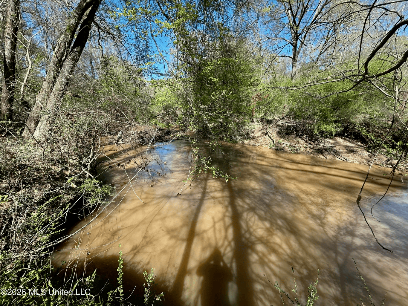 123± Acres Centreville MS on Chance Rd Amite County