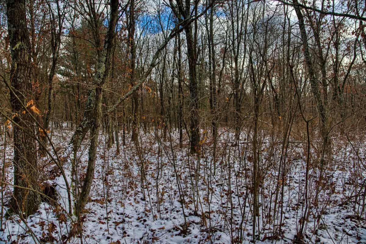 1565 Hwy 71 – Sparta, Wisconsin | 126.25± Acres | Monroe County