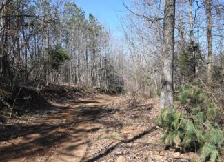 107.63 Acres For Sale in Middle Tennessee!