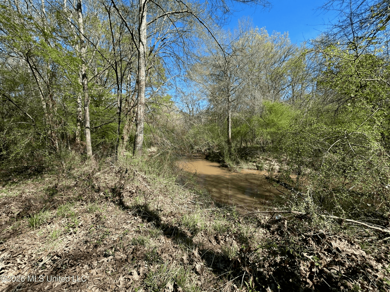 123± Acres Centreville MS on Chance Rd Amite County