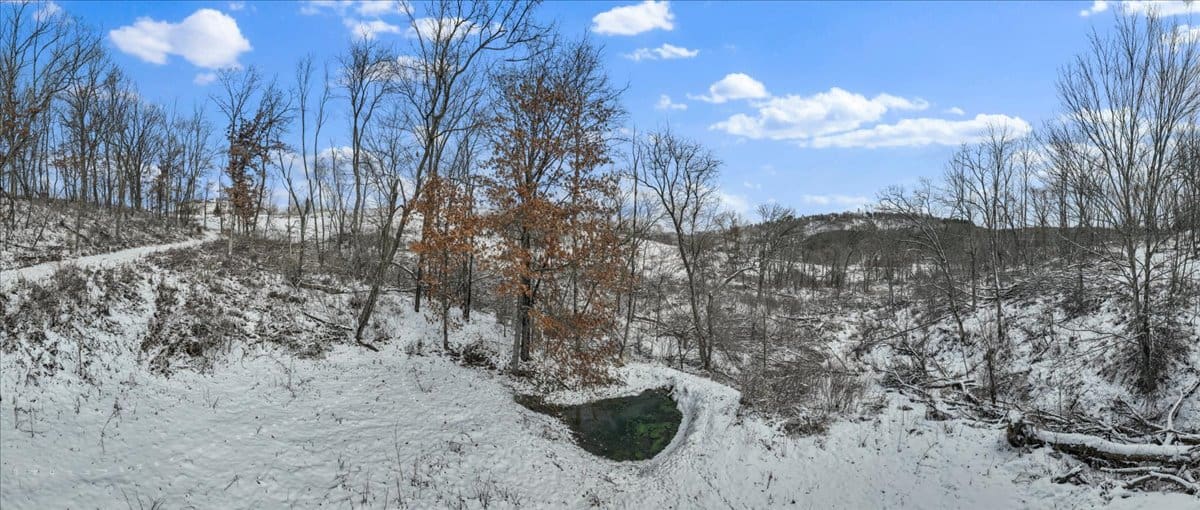 36.8± Acre Executive Estate in the Rolling Countryside of Jackson County