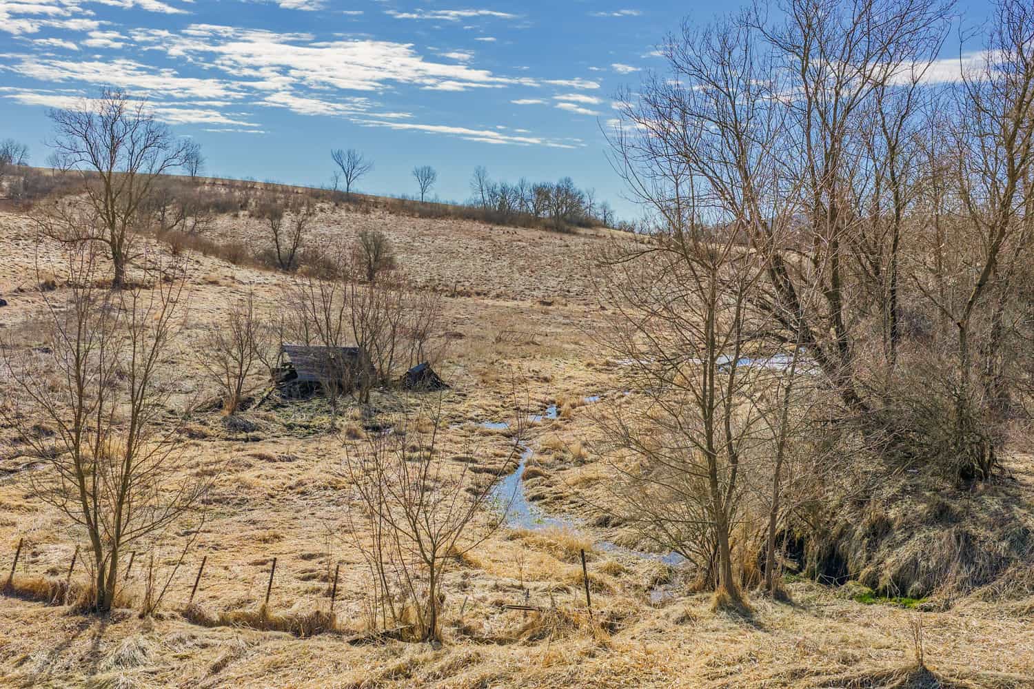 50 Acre Recreational -Hunting Land For Sale Richland County WI