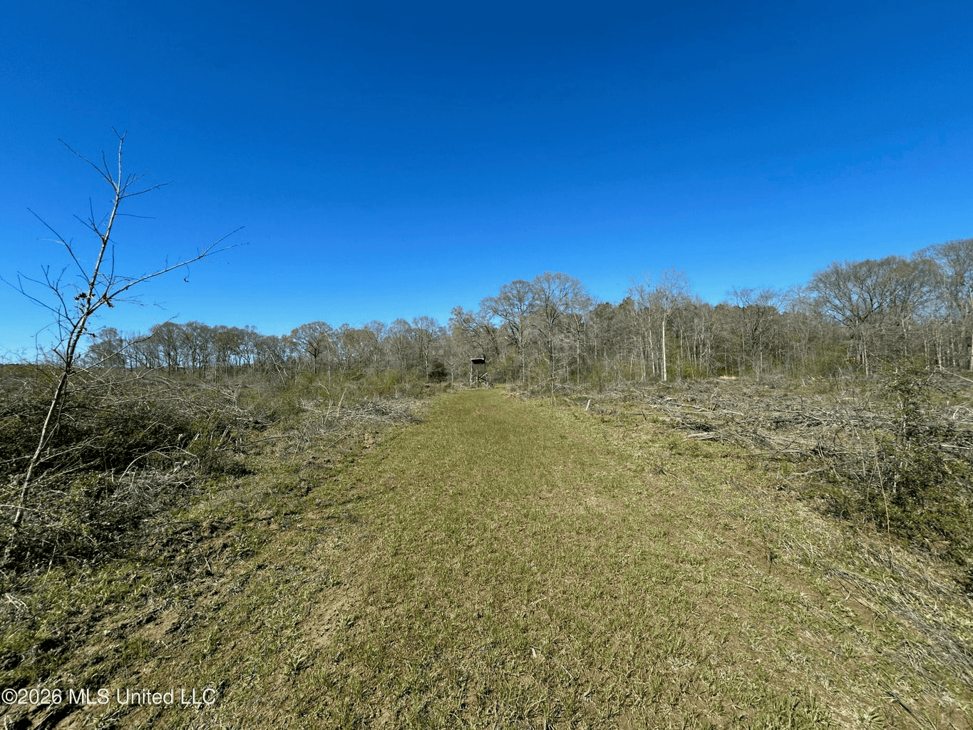 123± Acres Centreville MS on Chance Rd Amite County