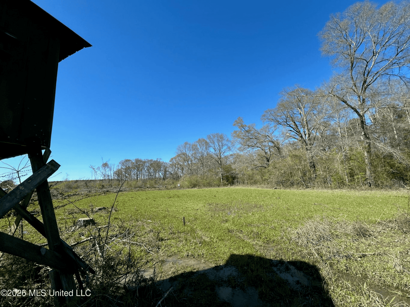 123± Acres Centreville MS on Chance Rd Amite County
