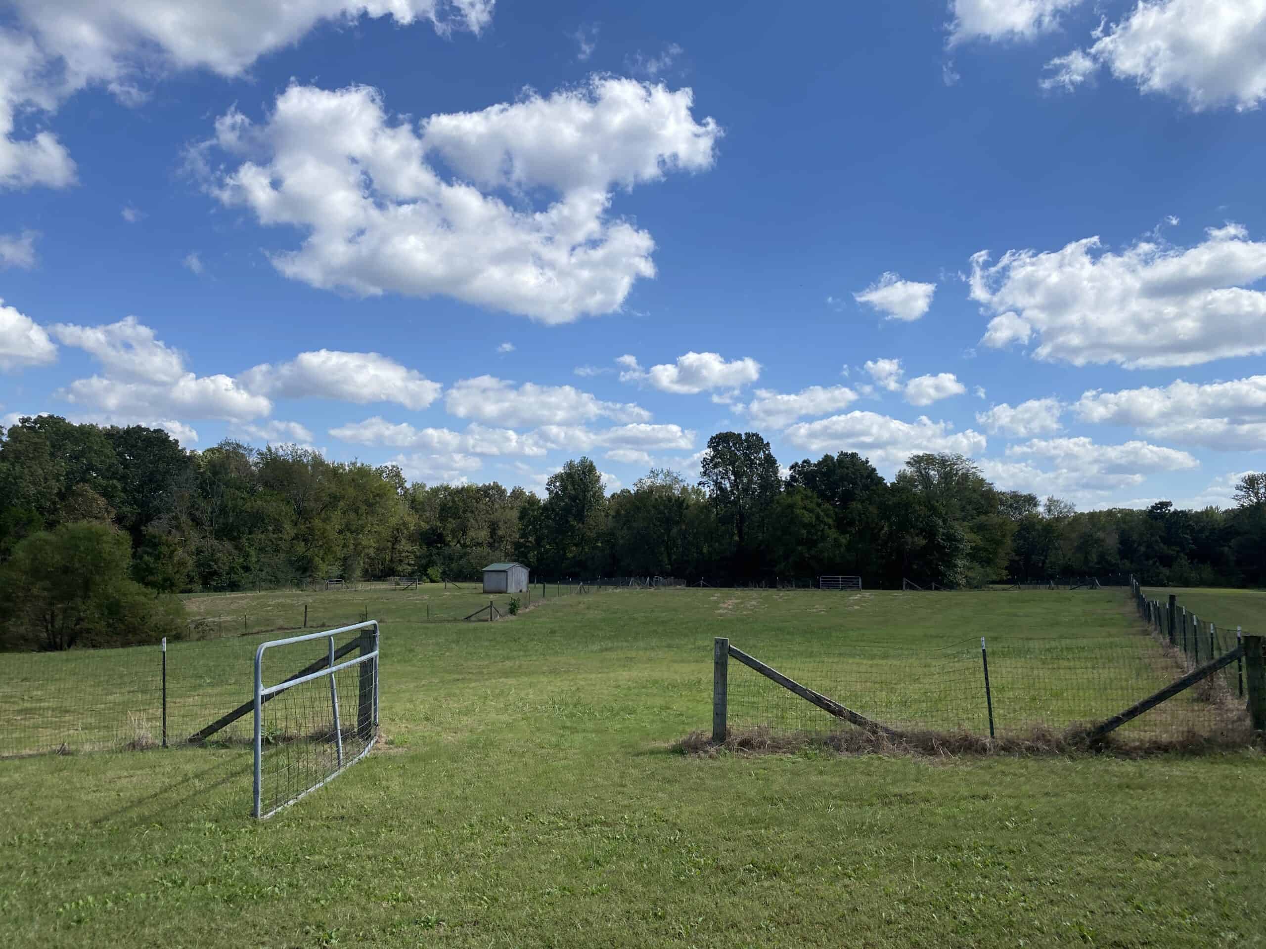 300 ACRE+/- PRIVATE ESTATE FOR SALE IN TN, 2 HOMES, LAKE
