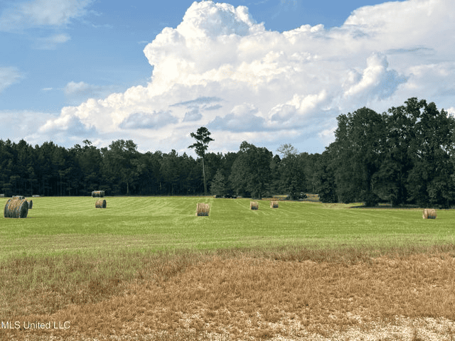 Osyka, MS 100± Acre Gated Estate with Lake & Home