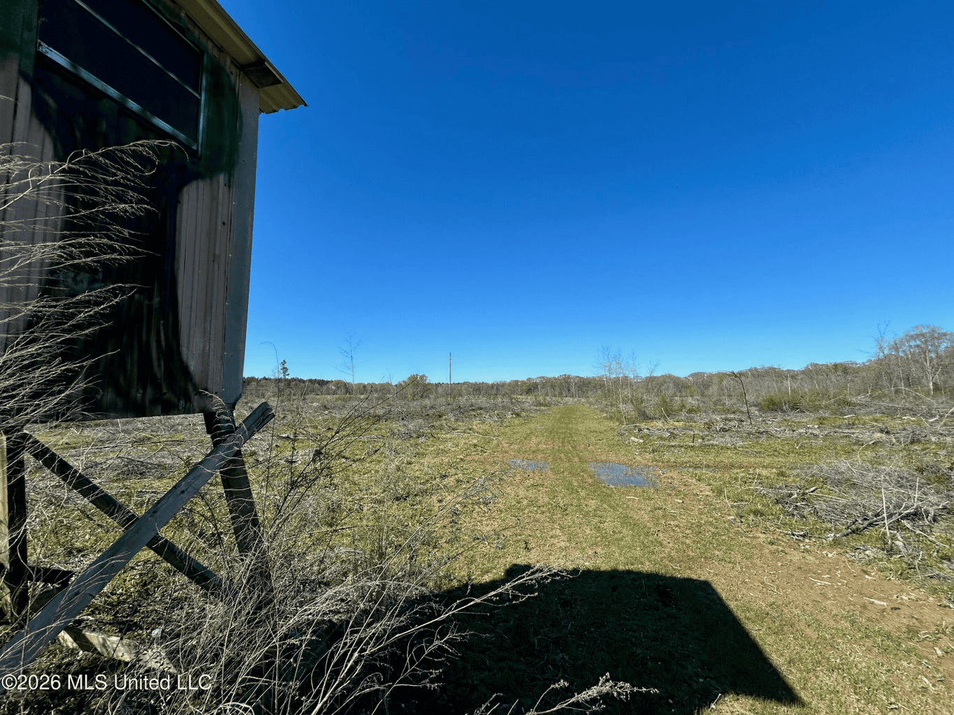 123± Acres Centreville MS on Chance Rd Amite County