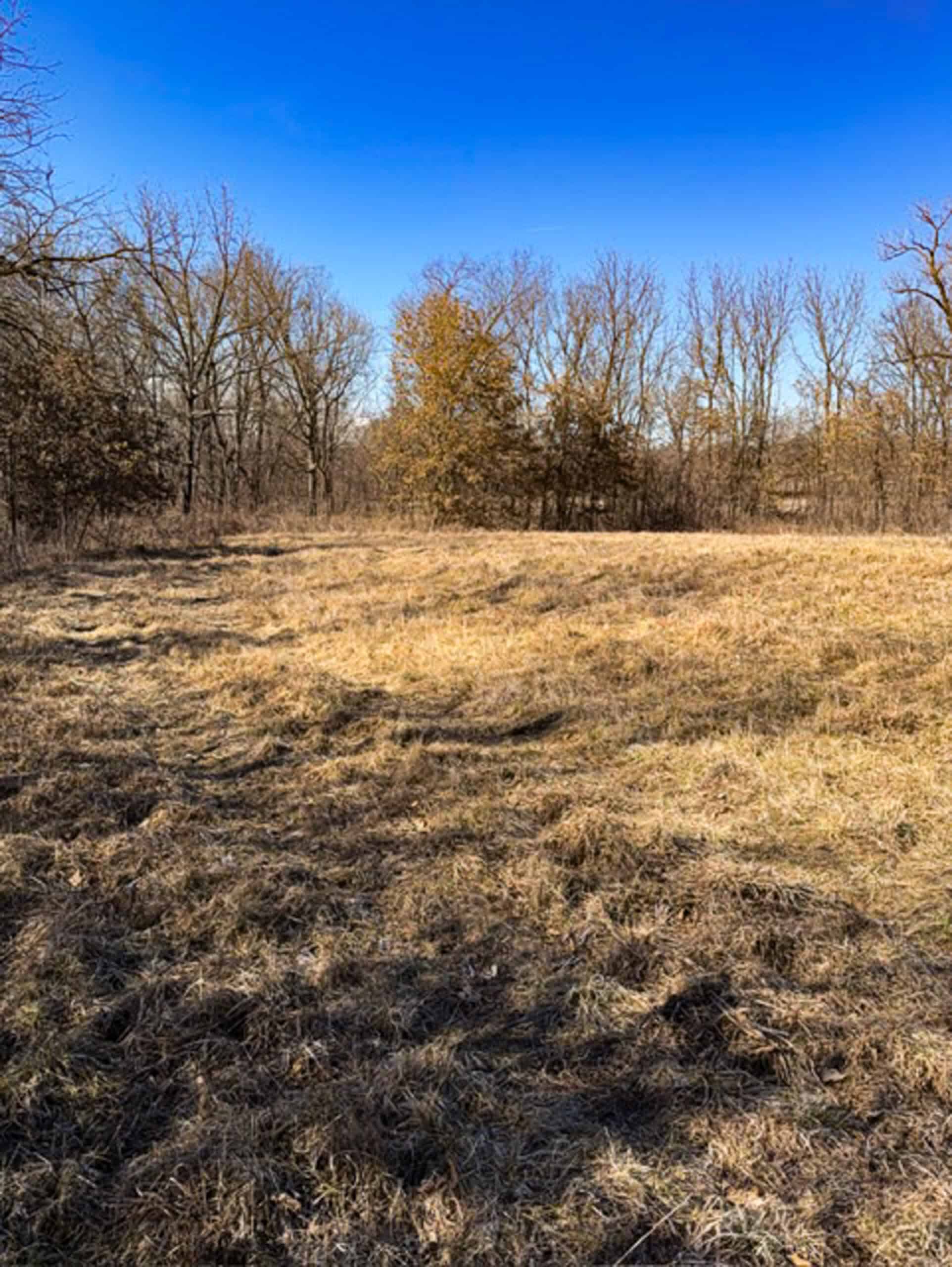19± Acres of Land for Sale in Daviess County, Missouri
