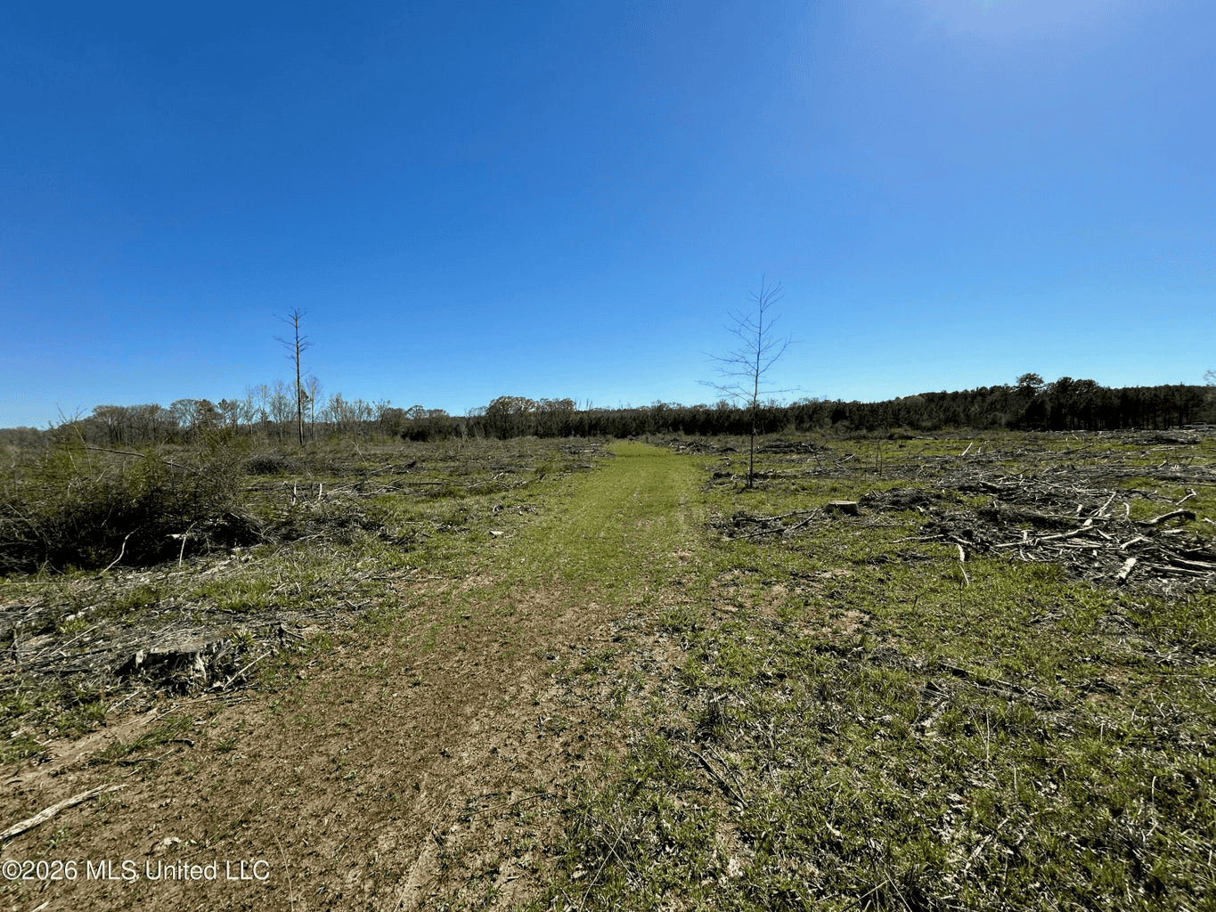 123± Acres Centreville MS on Chance Rd Amite County