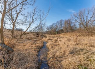 50 Acre Recreational -Hunting Land For Sale Richland County WI