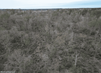 36 Acres in Pike County, Mississippi – Scenic Rural Retreat