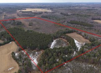 Portage County Wisconsin 80 Acres of Hunting Land for Sale