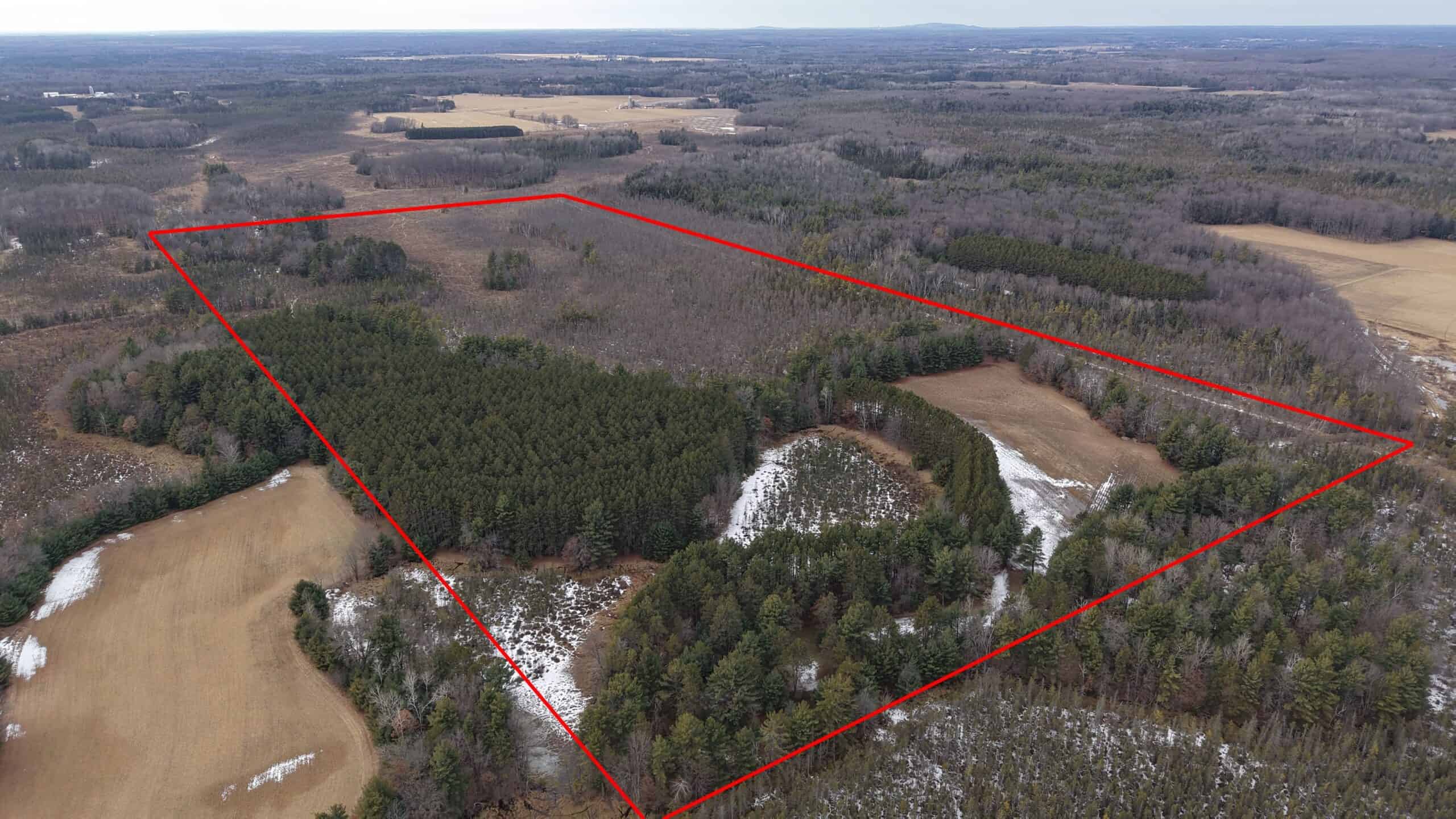Portage County Wisconsin 80 Acres of Hunting Land for Sale