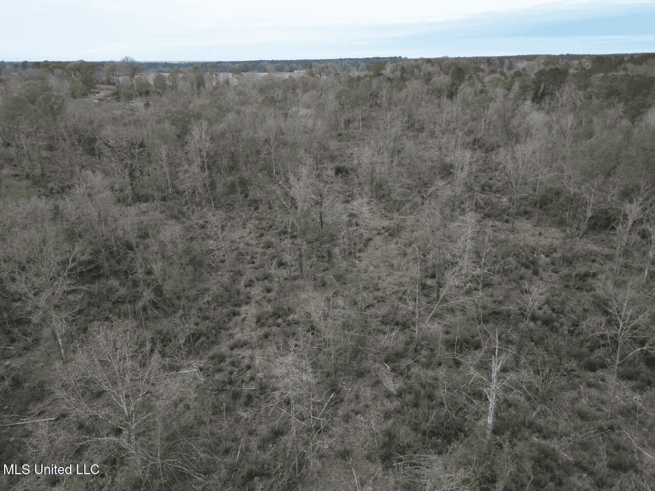 36 Acres in Pike County, Mississippi – Scenic Rural Retreat