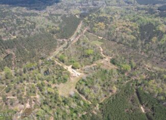 30± Acres in Jefferson County, MS Near Homochitto NF Hunting
