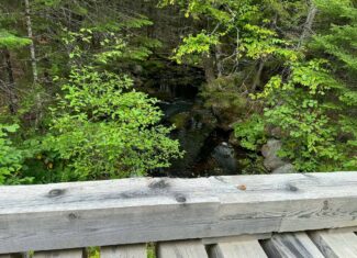 50 Acre Parcel in Downeast Maine – Northfield