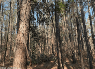 Land for Sale in Simpson County