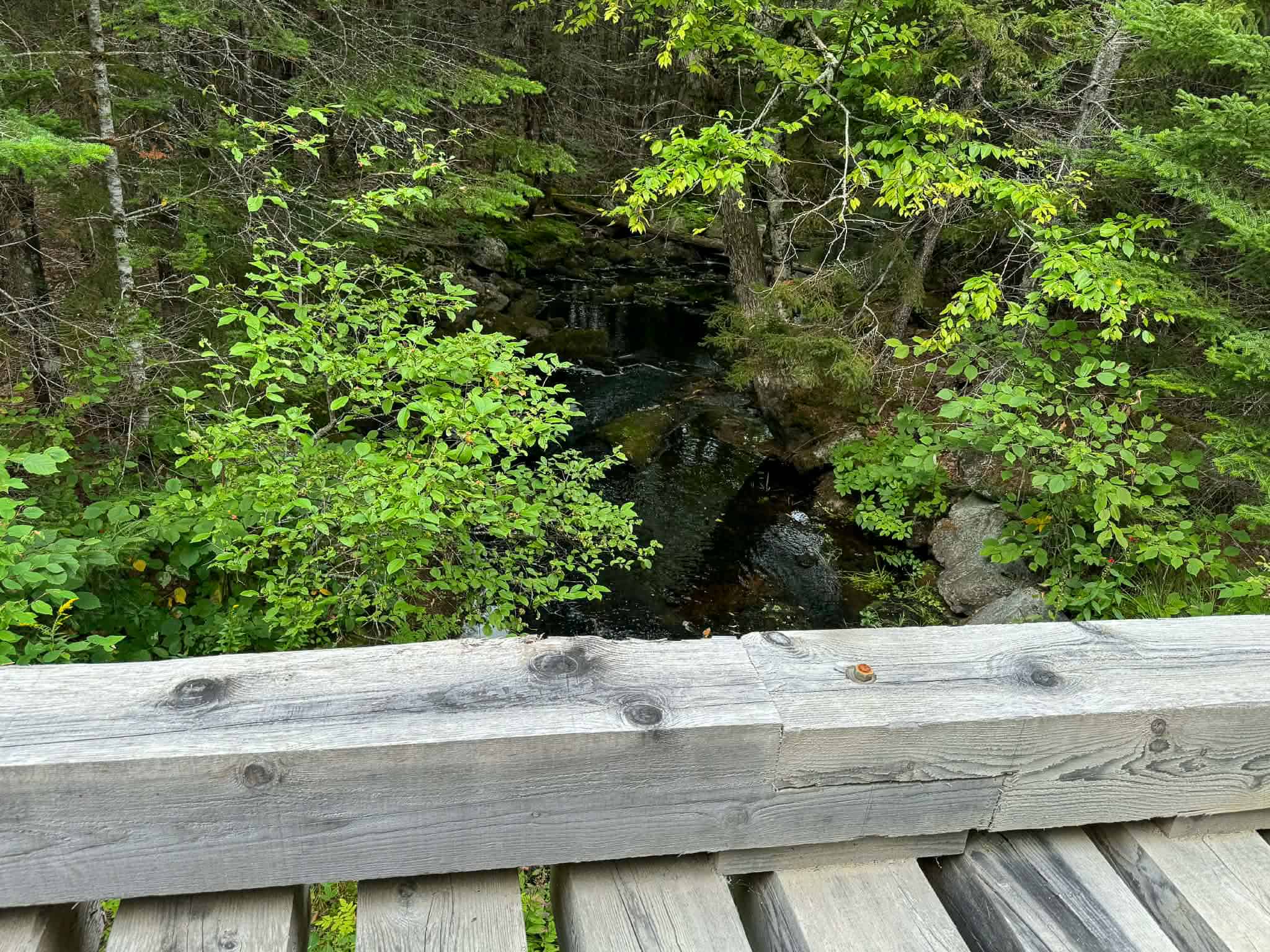 50 Acre Parcel in Downeast Maine – Northfield