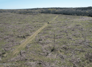 123± Acres Centreville MS on Chance Rd Amite County