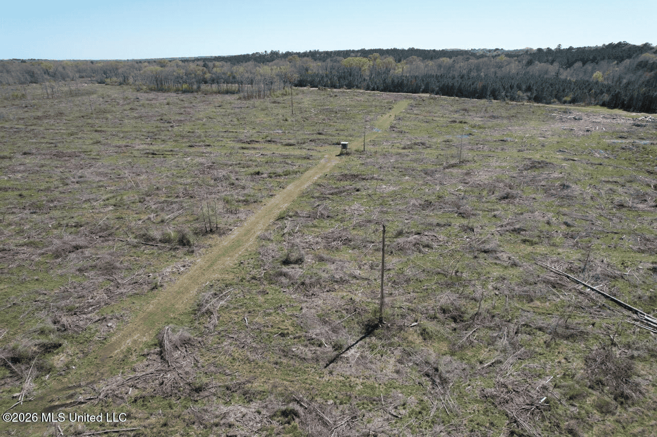123± Acres Centreville MS on Chance Rd Amite County