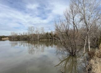 Exceptional 60-Acre Property Benton, KS