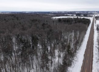 43+/-  Acre Marathon County Hunting, Timber and Rec Tract For Sale